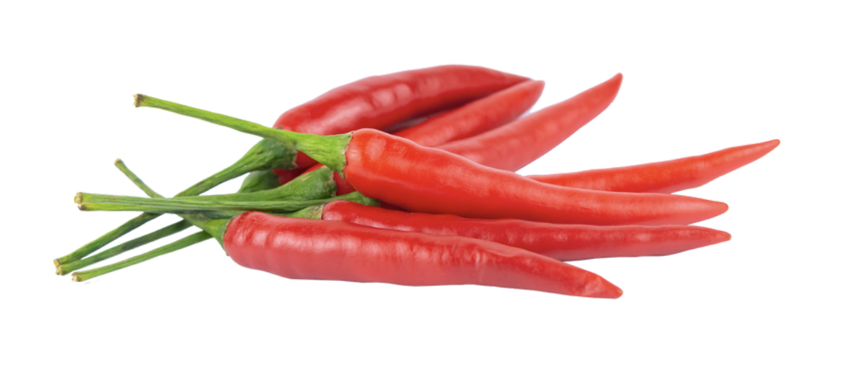 Habanero Chilies